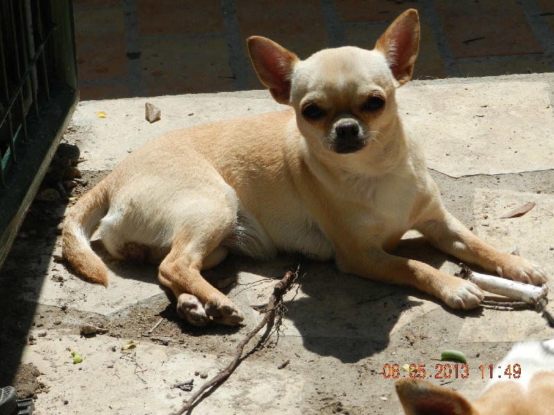 HeloÏse Des pyramides de cholula